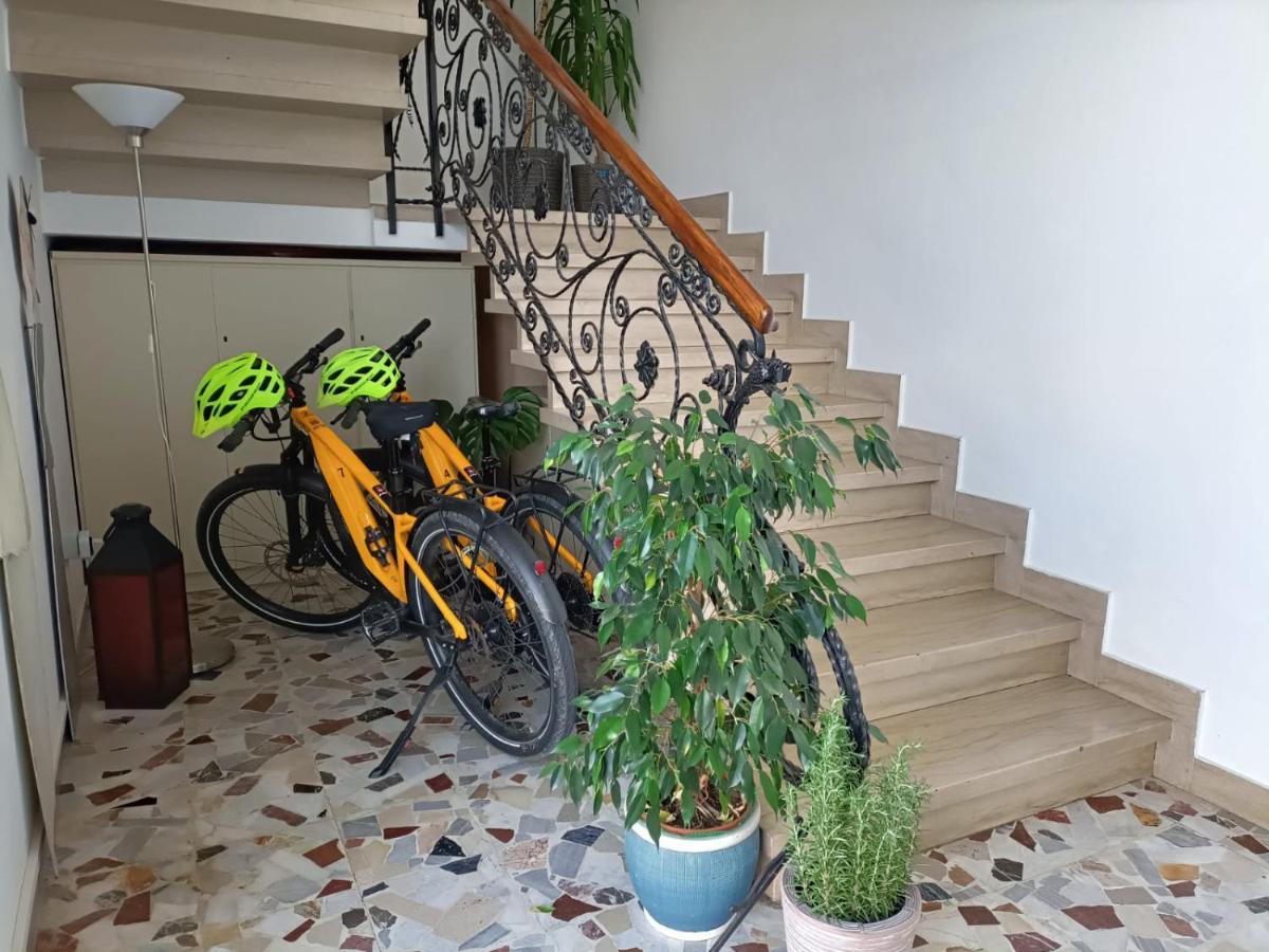Balabuska Rooms & Garden Codevigo المظهر الخارجي الصورة